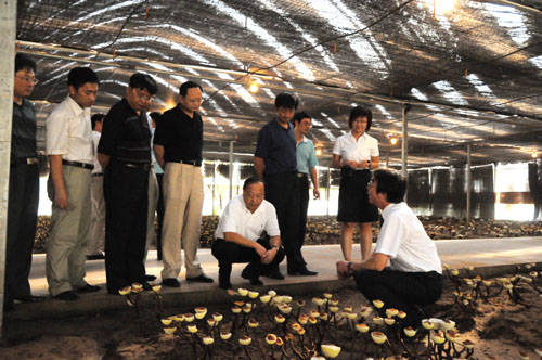 918博天堂官网